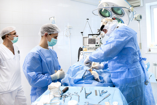 Повышение квалификации пластических хирургов