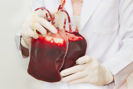 Повышение квалификации врачей-трансфузиологов
